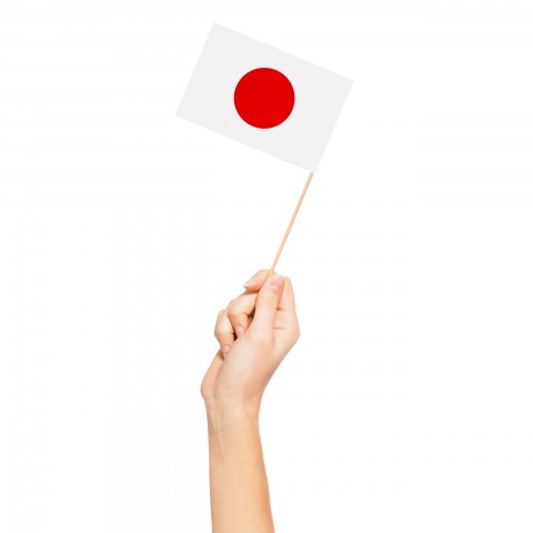 Someone Holding Miniature Japanese Flag