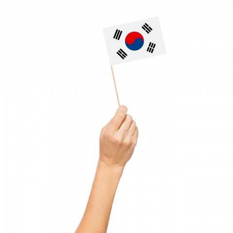 A Hand Holding a Korean Flag with a Stick