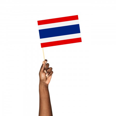 A Photo of the Thai Flag being Waved.