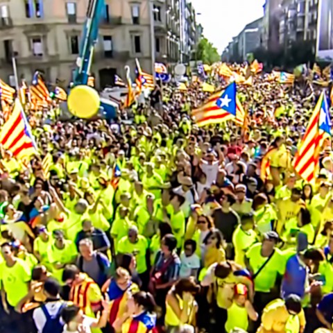 Crowd Carrying Flags