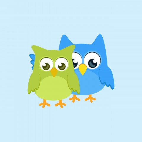 Cute Owls