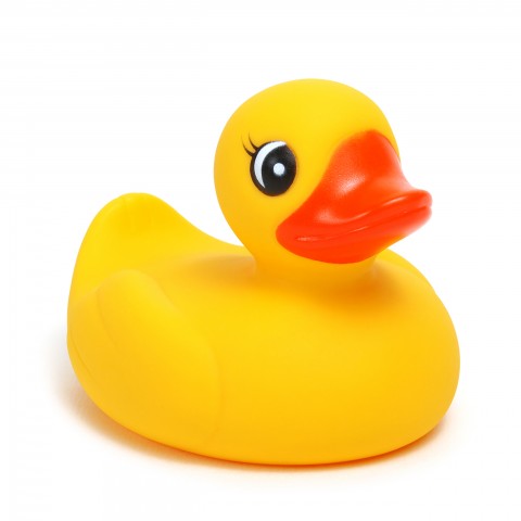 Rubber ducky