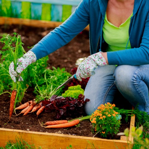 Young Lady Farming