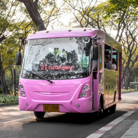 Bus on a Road