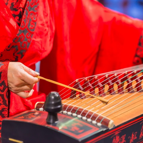 A Chinese Woman Playing a Traditional Chinese Instrument