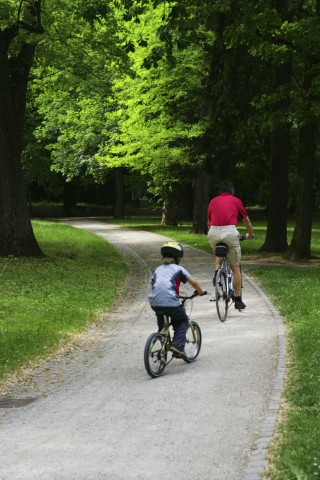 A Father and Son Riding Bikes on a Nature Trail