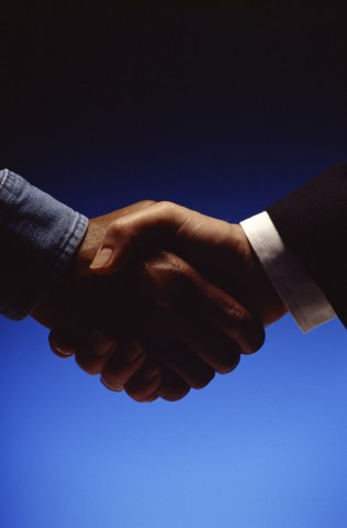 Two Male Hands in a Handshake.