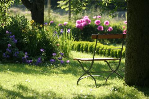 Lovely Spring Setting with Bench