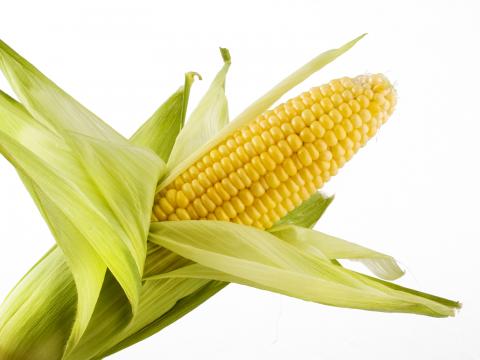 Corn