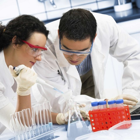 Scientists Working in a Lab