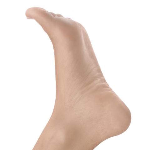 (A Foot