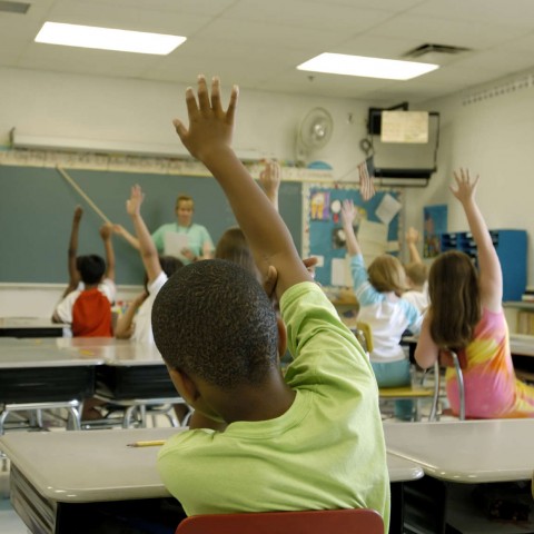 Students Raise Their Hands in a Classroom