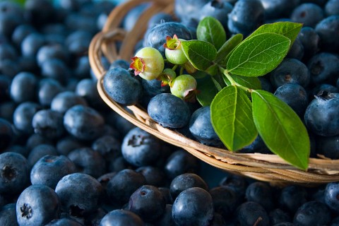 Blueberries