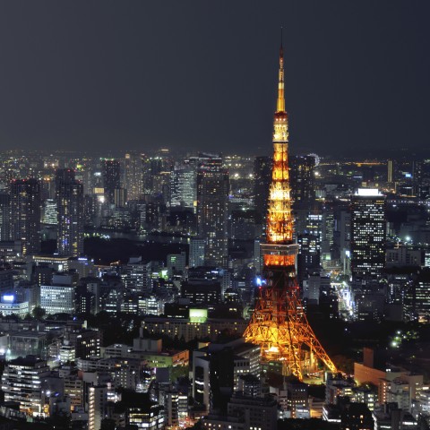 The Tokyo Tower