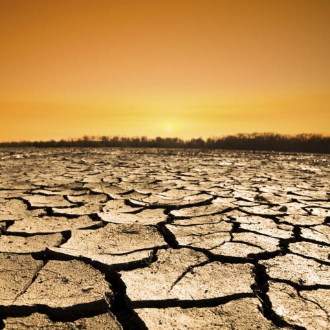 Dry and Cracked Earth